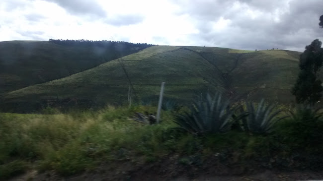 Peaje Cangahua - Servicio de transporte