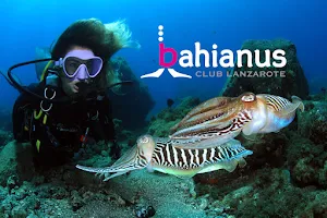 Bahianus Club Tauchen auf Lanzarote image