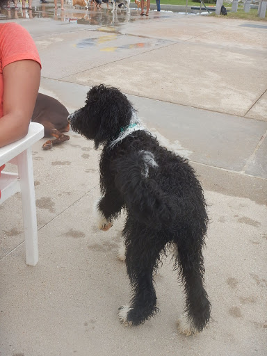 Water Park «NRH2O Family Water Park», reviews and photos, 9001 Boulevard 26, North Richland Hills, TX 76180, USA