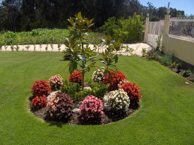 Avaliações doJardins Duarte, Unipessoal, Lda. em Leiria - Jardinagem