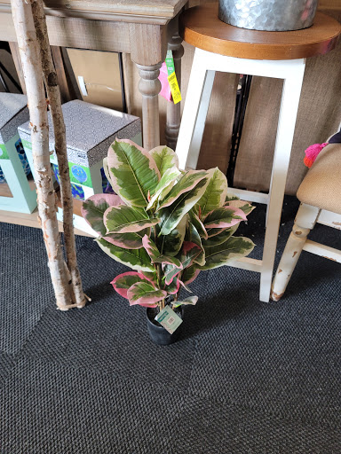 Craft Store «Hobby Lobby», reviews and photos, 1975 17th St, Santa Ana, CA 92705, USA