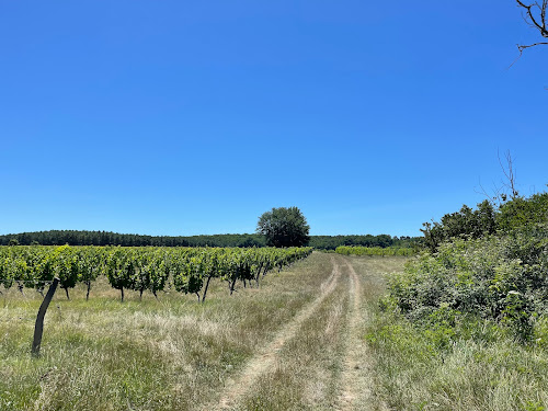 The Naked Vigneron à Margueron