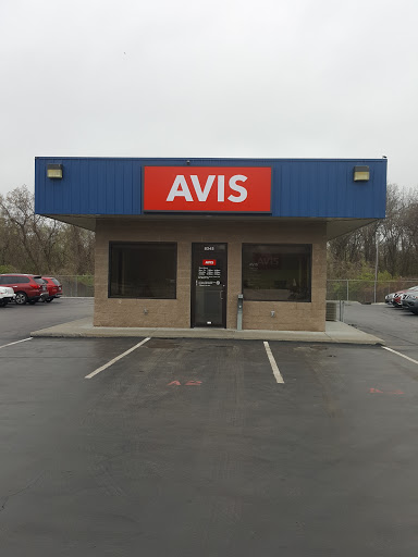 Avis Car Rental