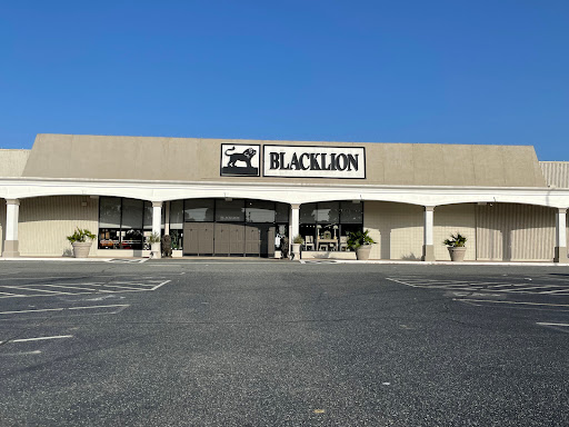 Furniture Store «BLACKLION Furniture», reviews and photos, 10635 Park Rd, Charlotte, NC 28210, USA