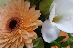 Barbi's Blumenladen - Inh. Vanessa Körner - image