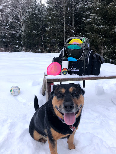 Bicycle Store «Overlook Bicycles», reviews and photos, 93 Tinker St, Woodstock, NY 12498, USA