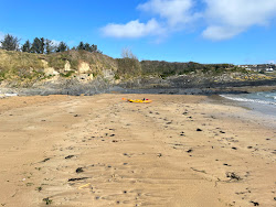 Photo de Ringabella Bay Beach avec un niveau de propreté de très propre