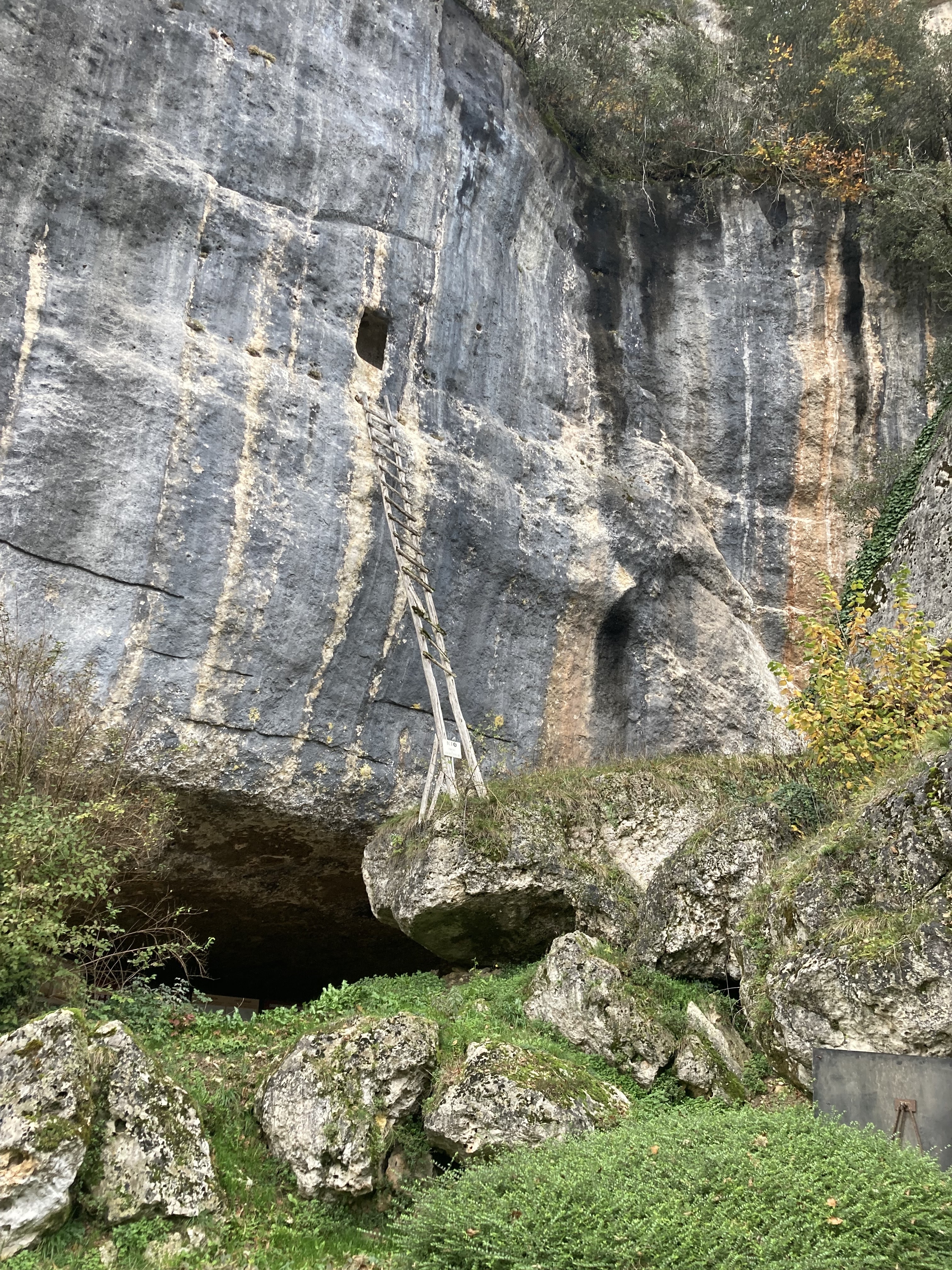 Photo n° 2 de l'avis de Léna.o fait le 21/11/2023 à 08:05