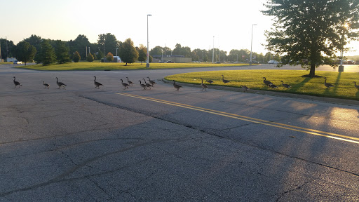 Grocery Store «Meijer», reviews and photos, 4901 IN-26, Lafayette, IN 47905, USA