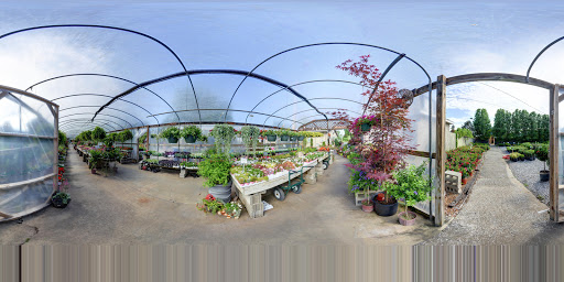 Garden Center «Schott Gardens», reviews and photos, 2209 Nashville Rd, Bowling Green, KY 42101, USA