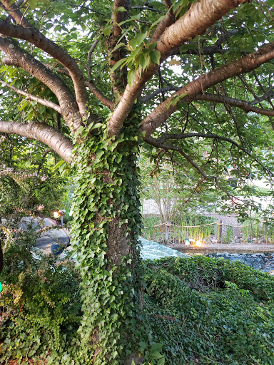 Golf Course «Waltz Golf Farm», reviews and photos, 303 W Ridge Pike, Limerick, PA 19468, USA