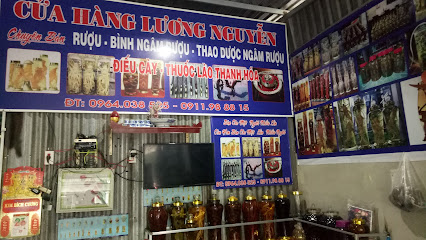 Cửa Hàng Rượu Ngâm Thảo Dược Lương Nguyễn