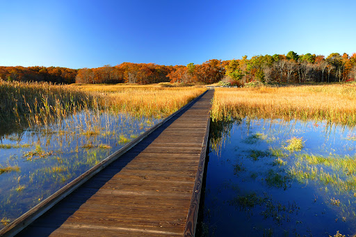 State Park «Cheesequake State Park», reviews and photos, 300 Gordon Rd, Matawan, NJ 07747, USA