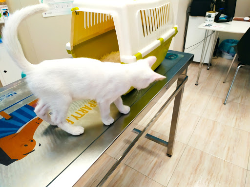 Consultorio Veterinario La Pobla Llarga en La Pobla Llarga