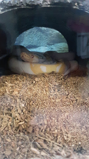 Pet Supply Store «Petco Animal Supplies», reviews and photos, 1150 Concord Ave #160, Concord, CA 94520, USA