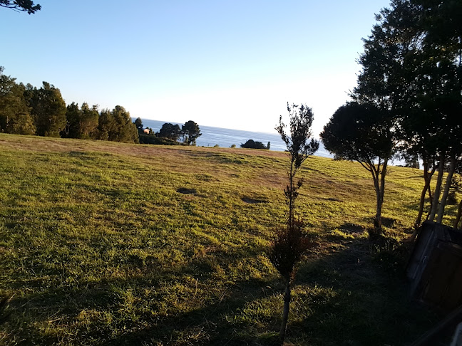 Opiniones de Agrocamping Australâ en Puerto Montt - Camping