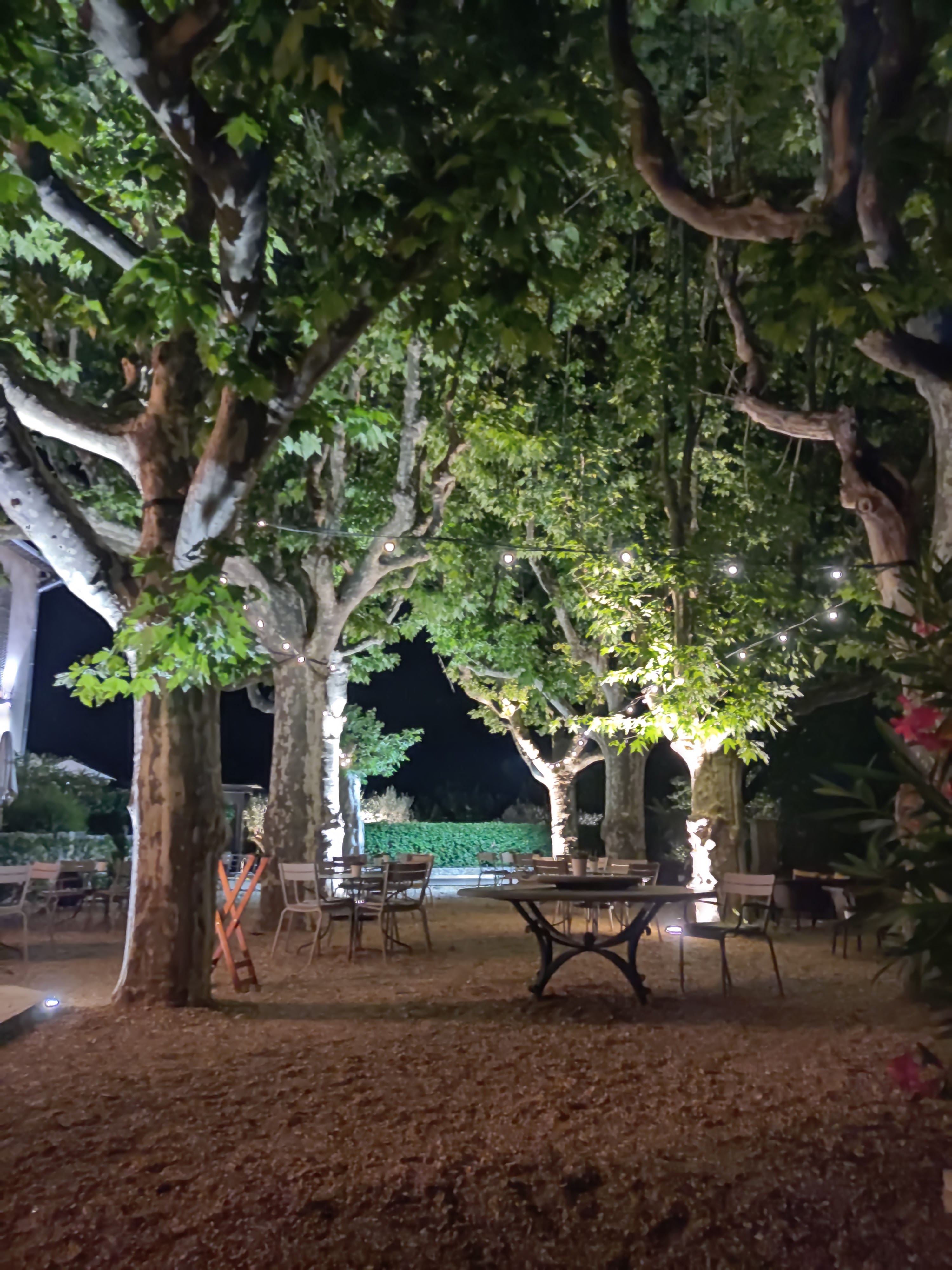 Photo n° 3 de l'avis de R. fait le 21/07/2022 à 20:23