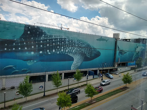Aquarium «Georgia Aquarium», reviews and photos, 225 Baker St NW, Atlanta, GA 30313, USA