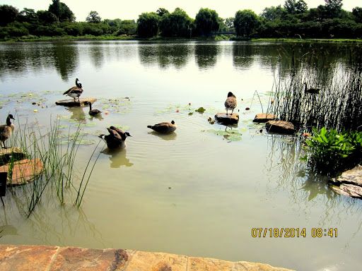 Botanical Garden «Chicago Botanic Garden», reviews and photos, 1000 Lake Cook Rd, Glencoe, IL 60022, USA