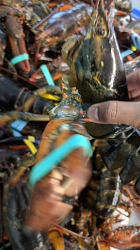 Seafood Market «Parsons Lobsters», reviews and photos, 64 Eagle Lake Rd, Bar Harbor, ME 04609, USA