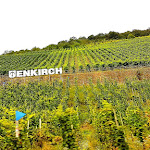 Photo n°1 de l'avis de Navaio.e fait le 10/09/2019 à 14:40 sur le  Mosel- Weinhotel Steffensberg und Weingut Steffensberg à Enkirch