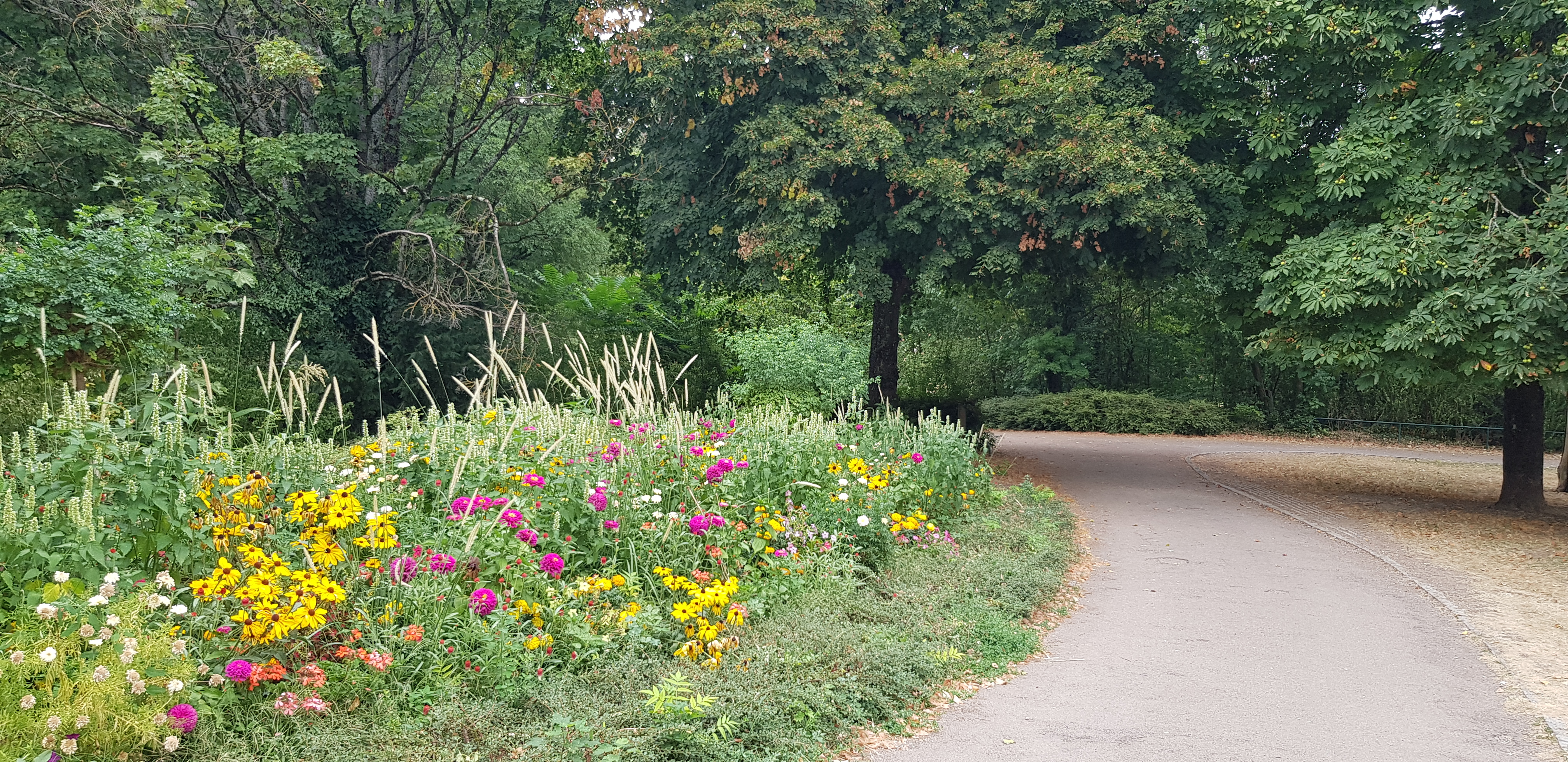 Photo n° 3 de l'avis de C... fait le 14/08/2022 à 15:24