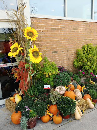 Shopping Mall «Hilldale Shopping Center», reviews and photos, 726 N Midvale Blvd, Madison, WI 53705, USA