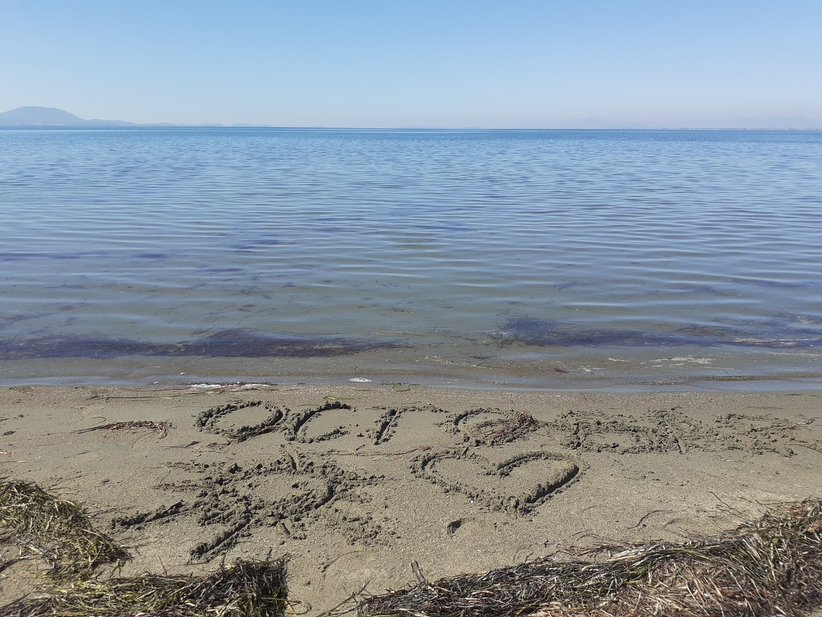 Spring beach'in fotoğrafı #43 ile birlikte