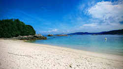 Praia de Pintens'in fotoğrafı vahşi alan
