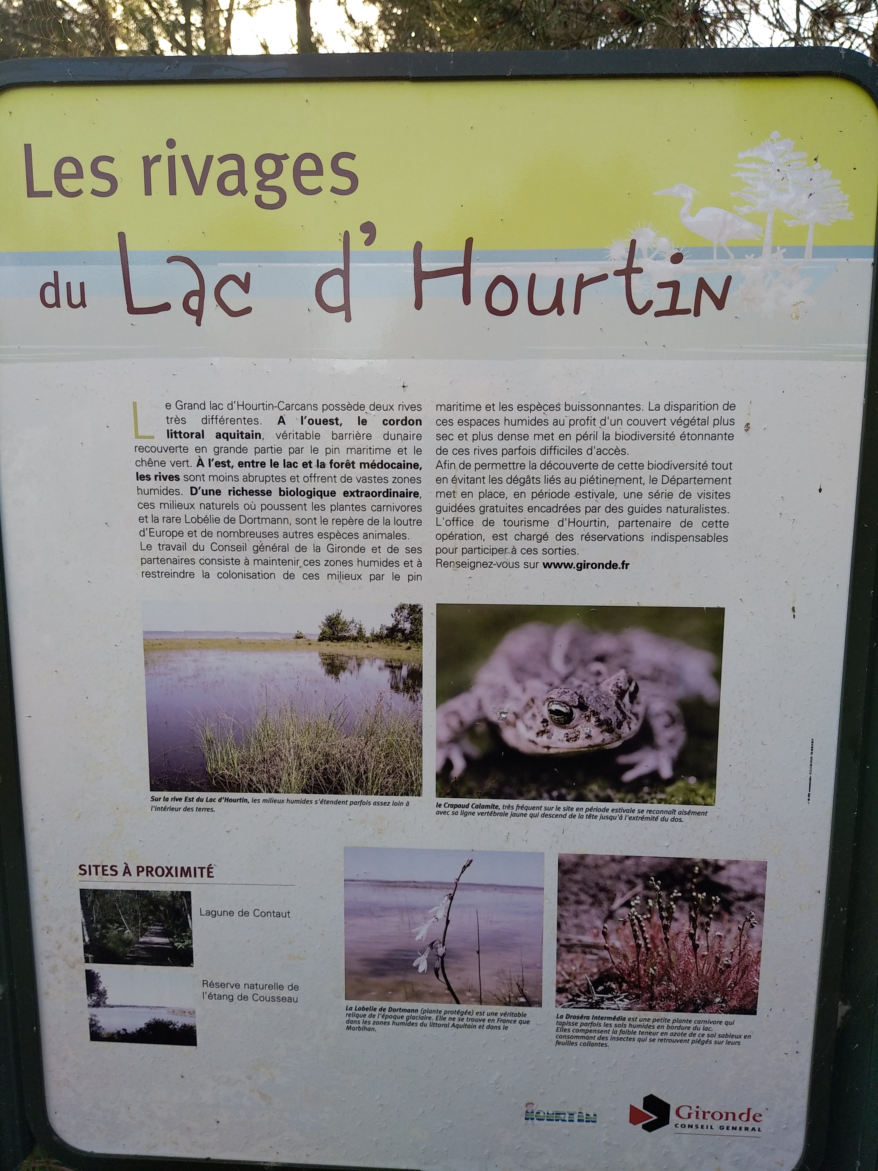 Photo n° 8 de l'avis de Julien.a fait le 05/08/2022 à 18:27