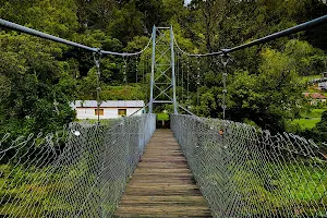 Nellie Pratt Swinging Bridge image