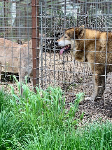 Zoo «Cricket Hollow Zoo», reviews and photos, 1512 210th St, Manchester, IA 52057, USA