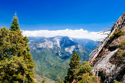 National Park «Sequoia National Park», reviews and photos