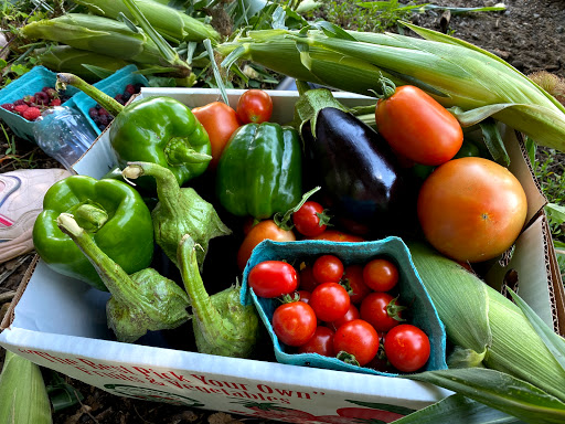 Farm «Alstede Farms», reviews and photos, 1 Alstede Farms Ln, Chester, NJ 07930, USA