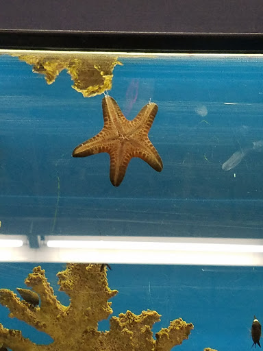 Shopping Mall «Highlands Square Shopping Center», reviews and photos, 250 Highlands Square Dr, Hendersonville, NC 28792, USA