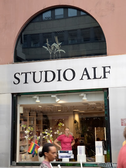 Studio Alf Grensen