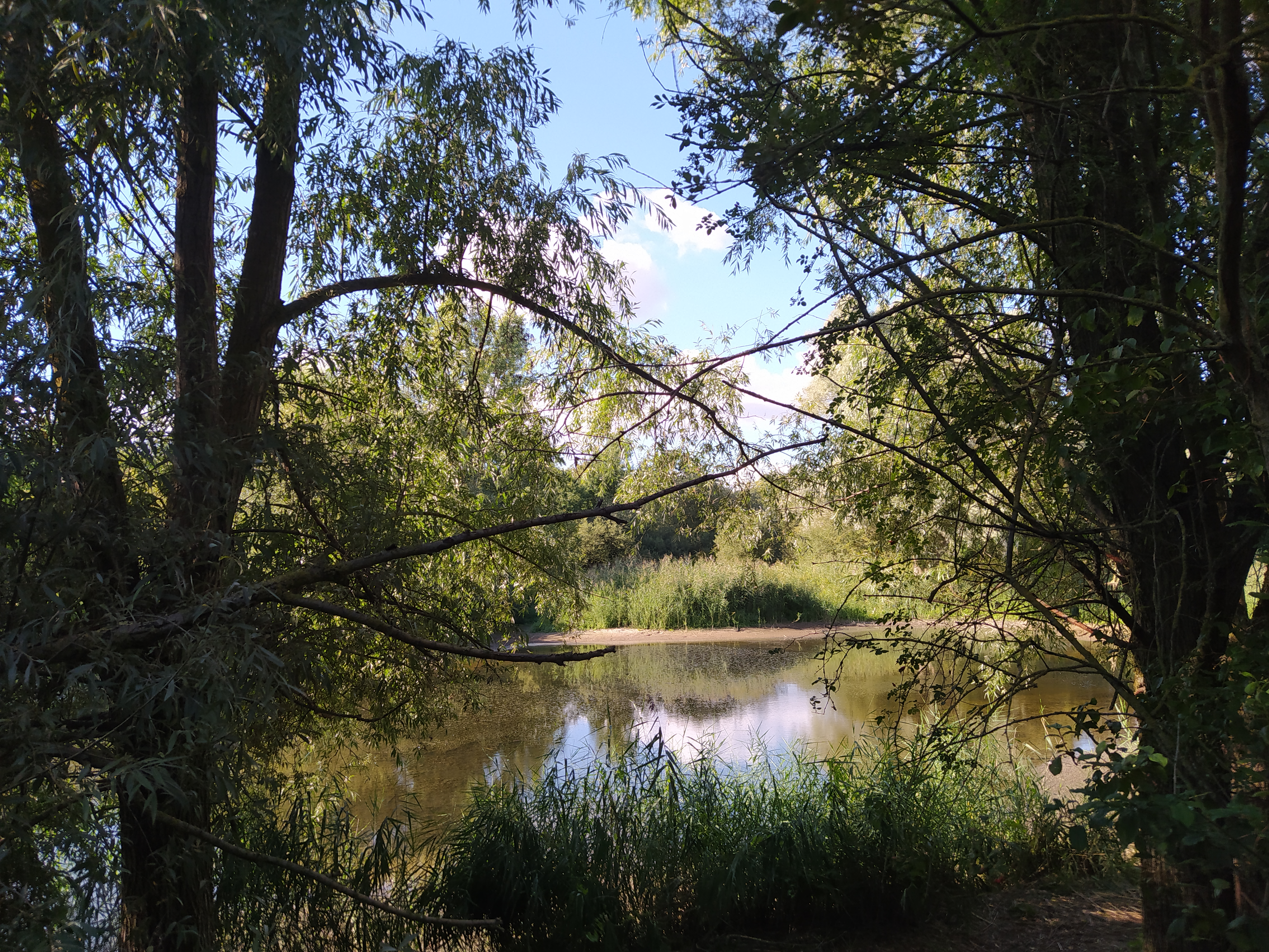 Photo n° 5 de l'avis de Hrafna.l fait le 11/09/2020 à 18:26