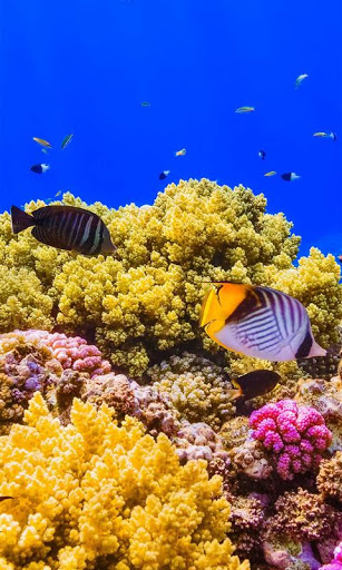 Grocery Store «Kroger», reviews and photos, 3588 Gender Rd, Canal Winchester, OH 43110, USA