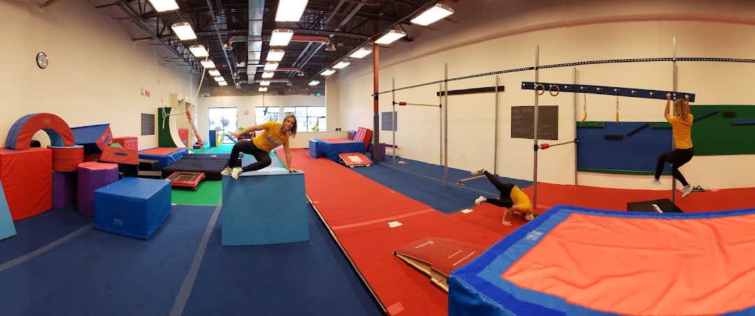 Flip & Twist Family Agility Training Centers