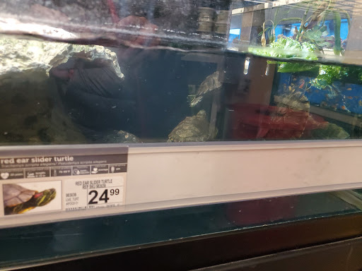 Pet Supply Store «Petco Animal Supplies», reviews and photos, 4698 S Whitnall Ave, St Francis, WI 53235, USA