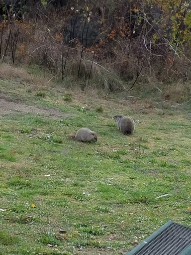 Campground «Winter Island Park», reviews and photos, 50 Winter Island Rd, Salem, MA 01970, USA