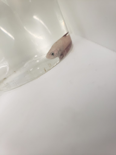 Pet Supply Store «Pet Supplies Plus», reviews and photos, 2424 W State St, Alliance, OH 44601, USA