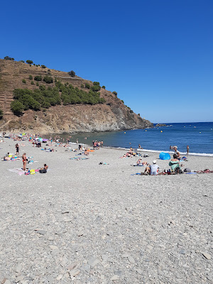 Plage de Peyrefite (Cap de Perafita) à Cerbère
