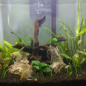 The Underwater Therapy photo