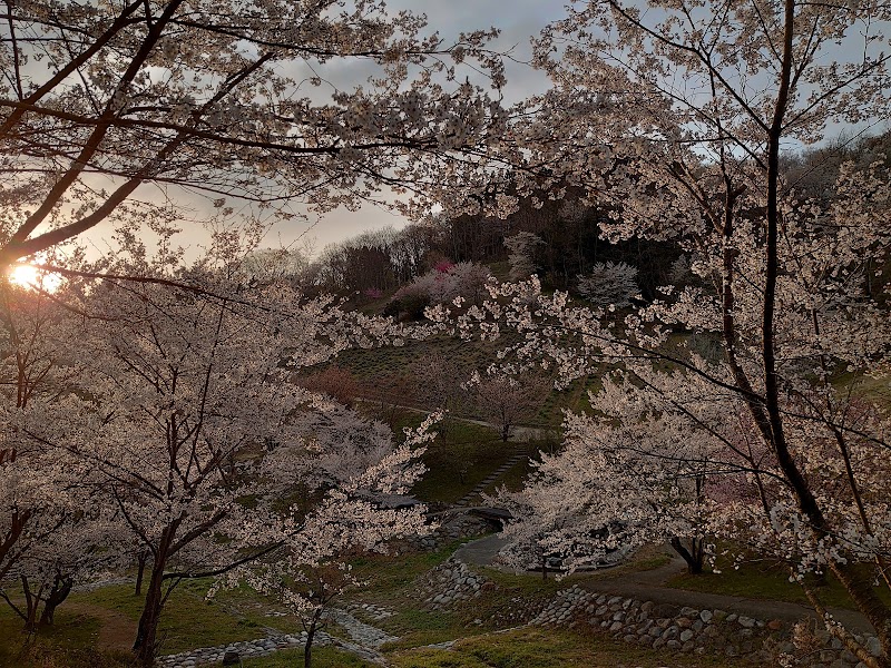 陸郷桜仙峡