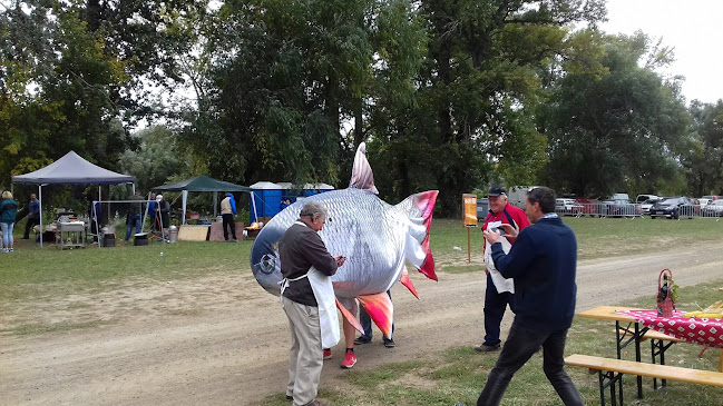 Szolnok, Tiszaparti stny. 4, 5000 Magyarország