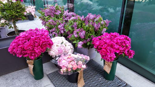 Performing Arts Theater «Lincoln Center for the Performing Arts», reviews and photos, 10 Lincoln Center Plaza, New York, NY 10023, USA