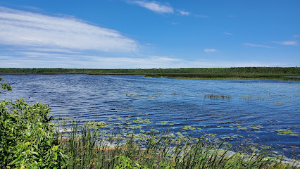 Tiny Marsh Provincial Wildlife Area