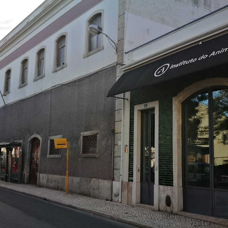 Clube Oriental de Lisboa