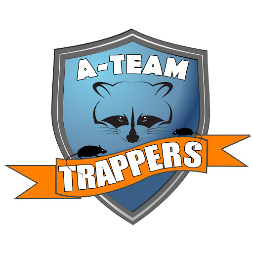 Animal Control Service «A-Team Trappers», reviews and photos